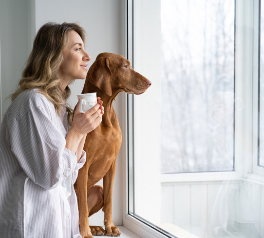 SignatureSeries residential uv blocking window film