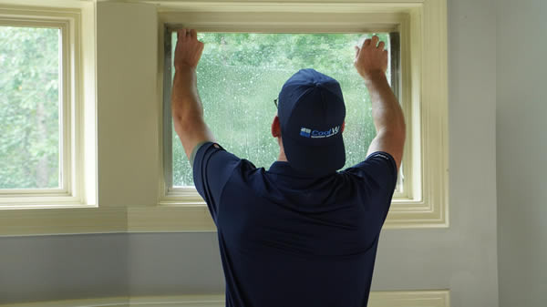 Window Film Installation