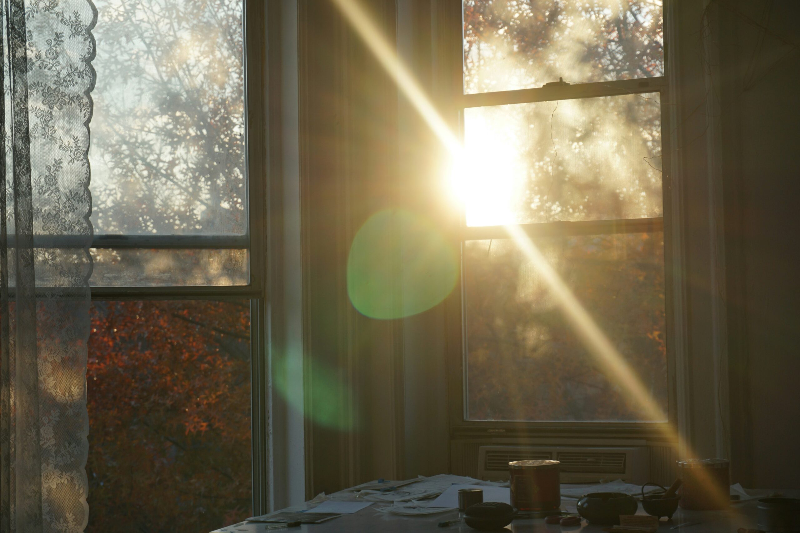 frolicsome-fairy-7XiKKmoPcM0-unsplash