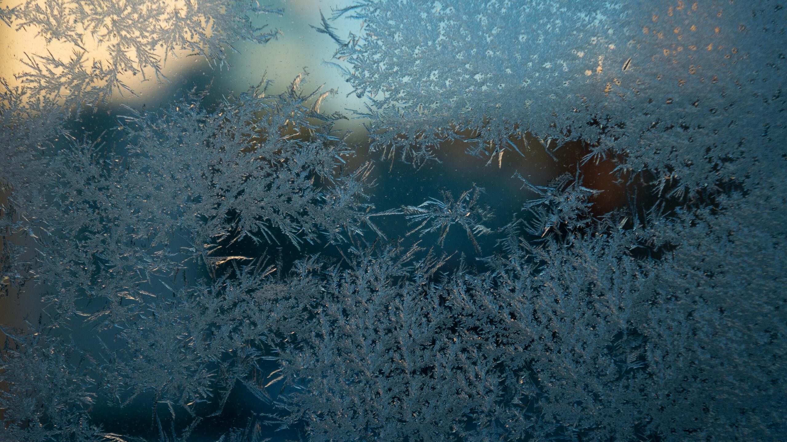 window film winter benefits