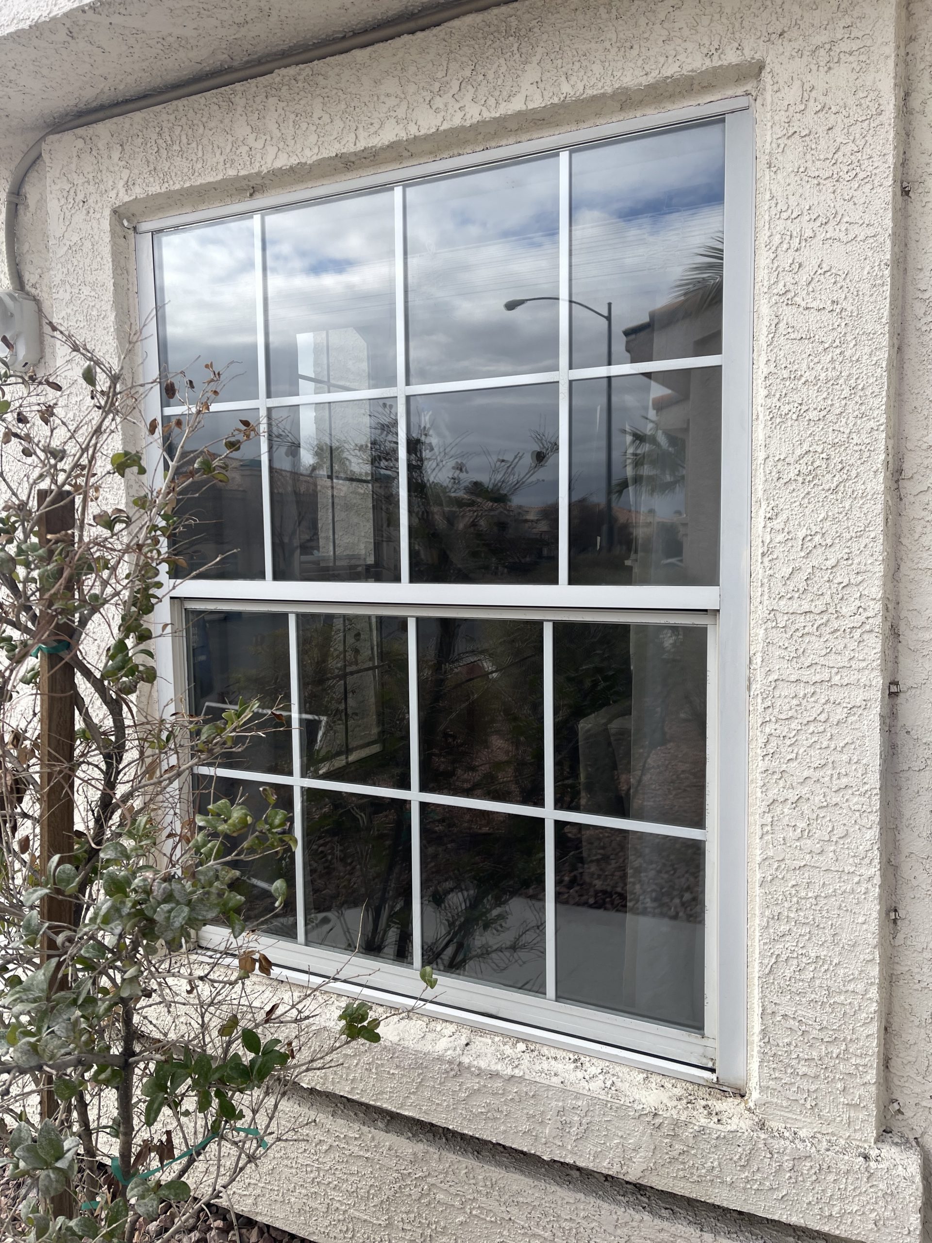 (Test/Example) 8Mil Solar Safety Neutral 40